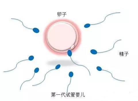 妇科